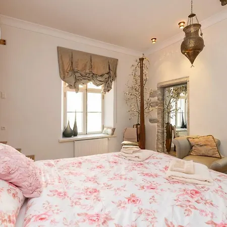 Διαμέρισμα Luxury Apartment-historical Michel Sittow's House *